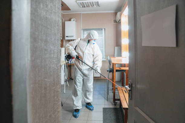 Best Biohazard Mold Removal  in Glenn Heights, TX